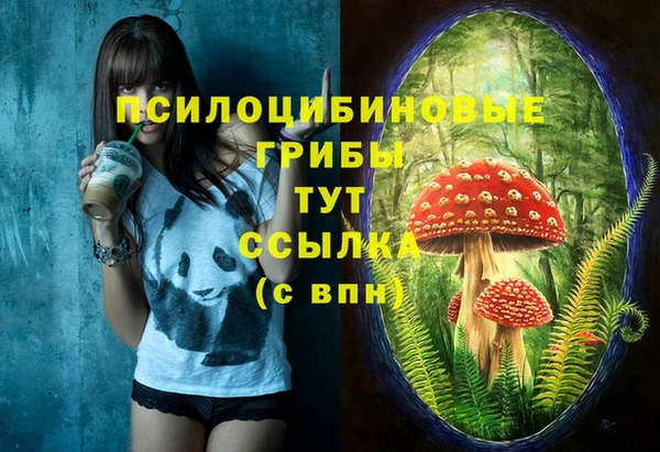 PSILOCYBIN Верхний Тагил